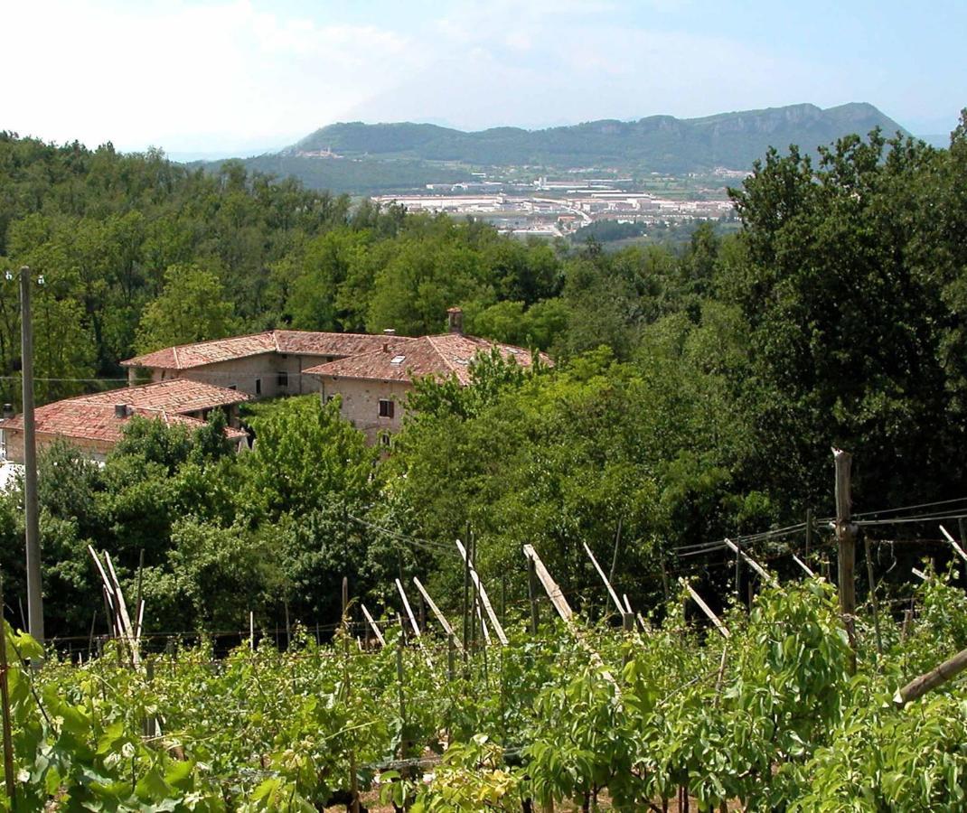 Agriturismo Ca' Verde SantʼAmbrogio di Valpolicella Exterior foto