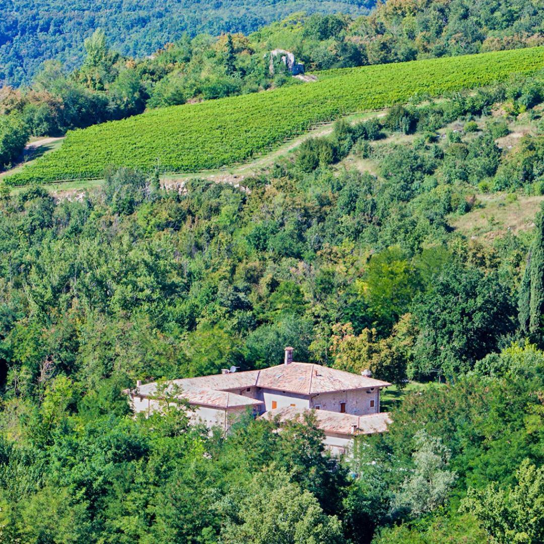 Agriturismo Ca' Verde SantʼAmbrogio di Valpolicella Exterior foto
